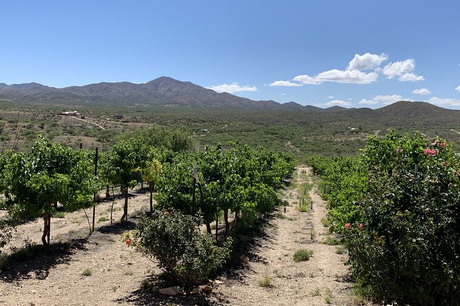 Verde Valley Wineries and Sedona Red Rocks Private Day Tour - Why Choose This Private Experience in Scottsdale?