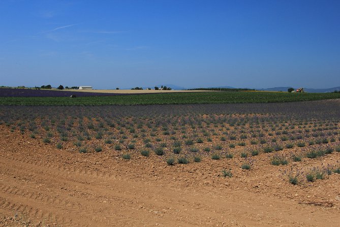 Verdon and Moustiers Ste-Marie Tour from Aix-en-Provence - Lake of Ste-Croix and the Pont de Galetas Viewpoint
