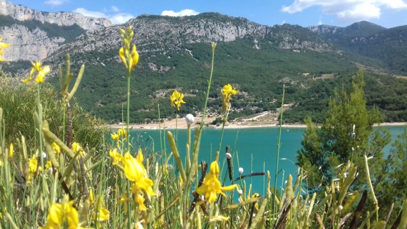 Verdon Gorge: The Grand canyon of Europe, Lake and Lavender - Discover the Verdon Gorge’s Spectacular Views