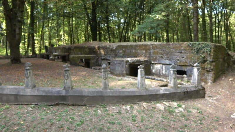 Verdun: 1916 Hell of the Battle - Discover Verdun’s Historic Significance for 7 Hours