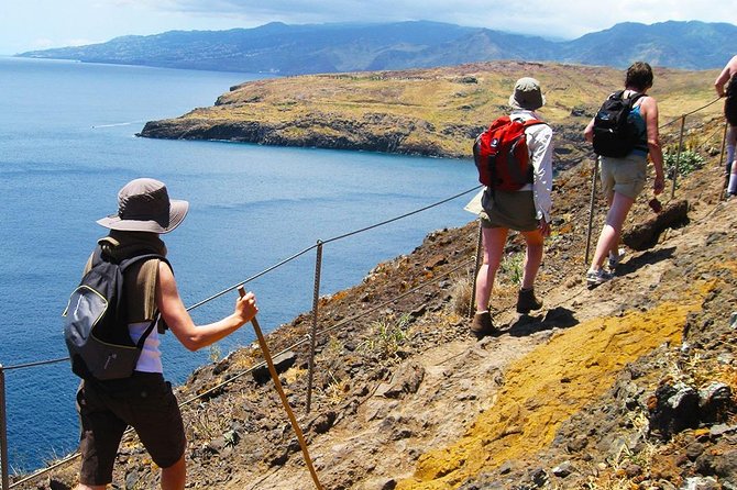 Vereda da Ponta de São Lourenço Trail Walking Tour - Logistics and Group Size for a Personalized Experience