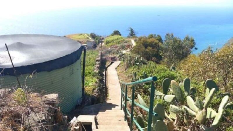 Vereda & Madeira Wine Tour - The Experience Guide and Multilingual Support