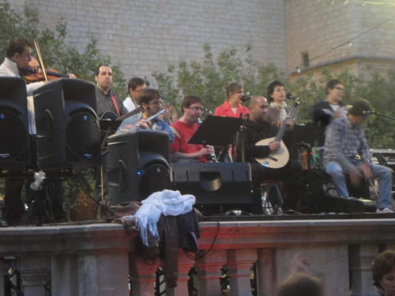 Vermar Wine Festival in Binissalem - Key Points