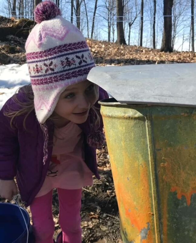 Vermont: Shelburne Sugarworks Tour with Tasting - Summing Up the Vermont Maple Experience