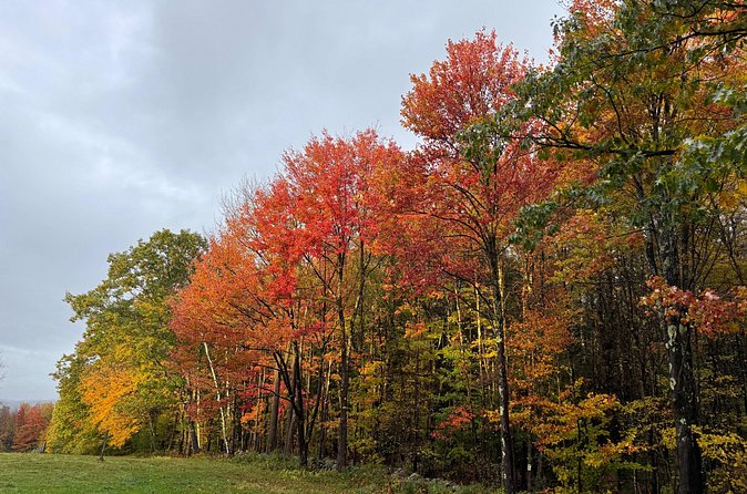 Vermont Wayfinders Fall Foliage Private Tour - Scenic Overlooks and Fall Foliage Views