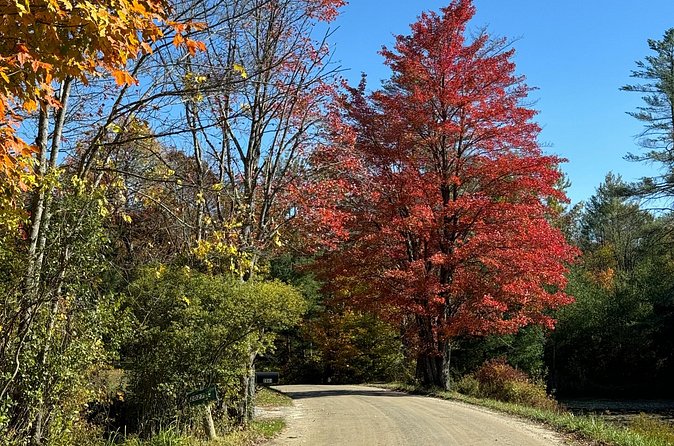 Vermont Wayfinders Fall Foliage Private Tour - Visiting Vermont Towns and Local Farms