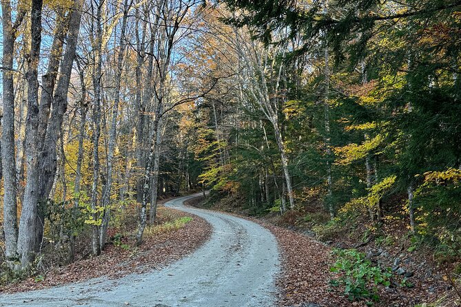 Vermont Wayfinders Sampler Guided Tour - Vermont Wayfinders: A Practical Choice for Scenic Short Trips