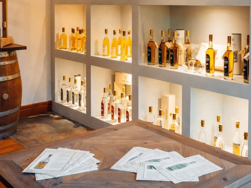 Vermouth and Spirits Tasting in a Distillery near Turin - The Scenic Setting and Views of Gran Paradiso