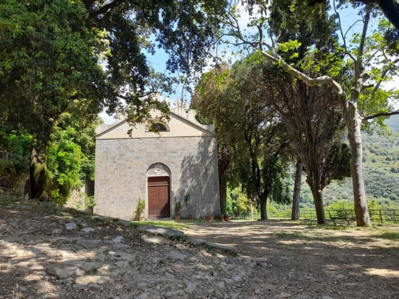 Vernazza (5 Terre): olive grove tour and oil and wine tasting - Meeting the Ponies and Learning About Local Farming