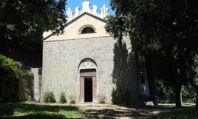 Vernazza (5 Terre): olive grove tour and oil and wine tasting - The Value of the Olive Grove and Tasting Experience