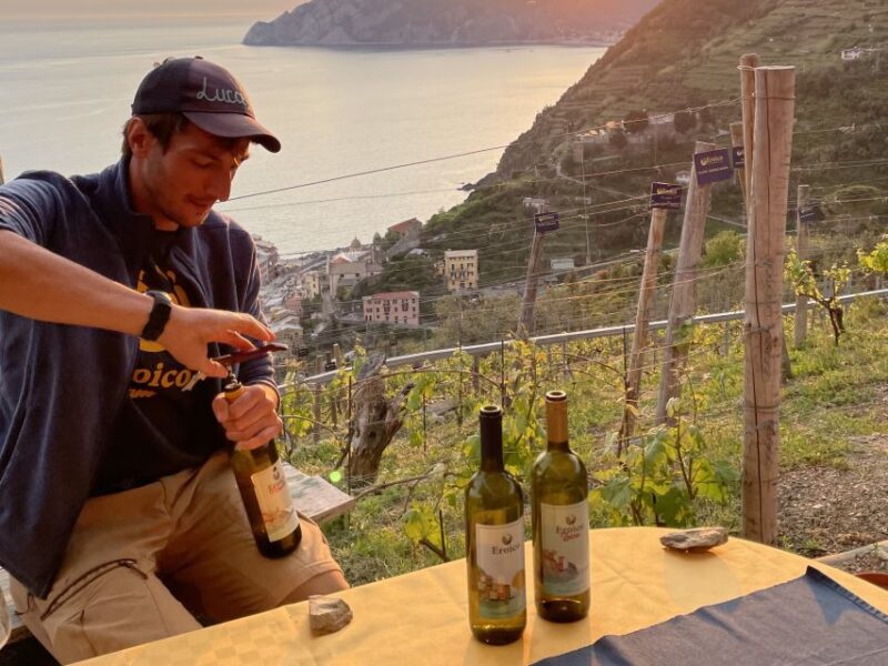 Vernazza: Panoramic Vineyard Trekking Tour w/ Wine Tasting - Key Points