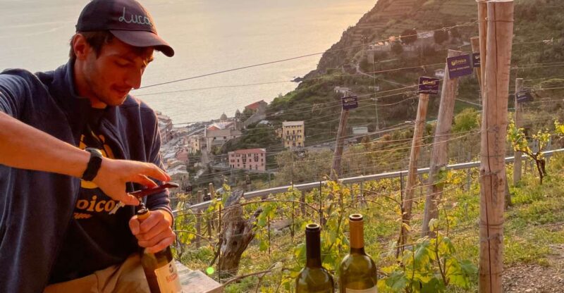 Vernazza: Panoramic Vineyard Trekking Tour w/ Wine Tasting - Vernazza’s Scenic Coastal Trails Lead to a Picturesque Vineyard