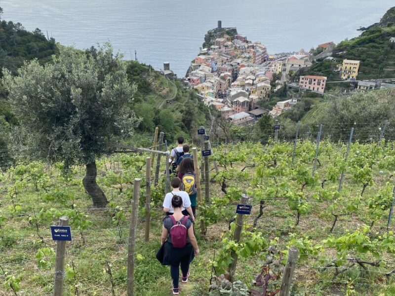 Vernazza: Panoramic Vineyard Trekking Tour w/ Wine Tasting - Logistics: Meeting Points, Group Size, and Practical Tips