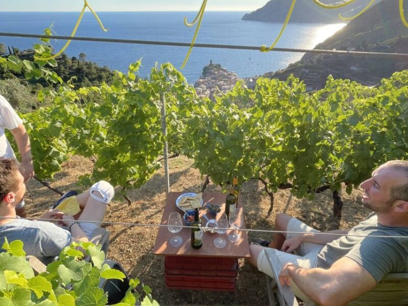 Vernazza: Panoramic Vineyard Trekking Tour w/ Wine Tasting - The Value of an Authentic Vineyards and Wine Experience