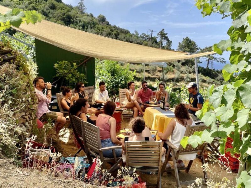 Vernazza: Panoramic Vineyard Trekking Tour w/ Wine Tasting - Frequently Asked Questions