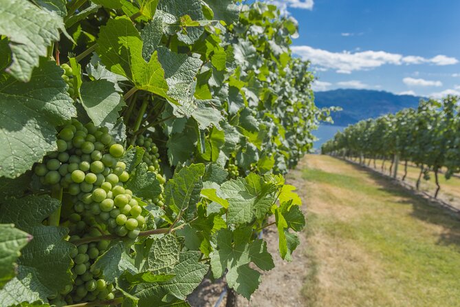 Vernon Private Wine & Boat Tour on Okanagan Lake - Key Points