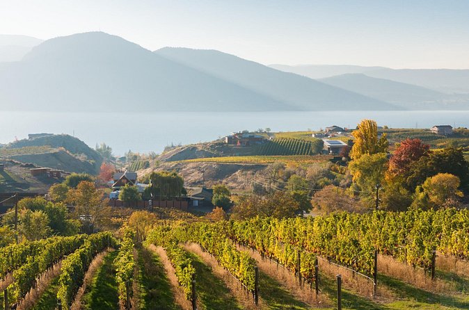 Vernon Private Wine & Boat Tour on Okanagan Lake - Vineyard Lunch at a Scenic Winery Restaurant