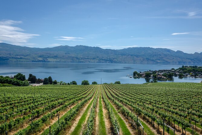 Vernon Private Wine & Boat Tour on Okanagan Lake - Tasting at Gray Monk Estate Winery: An Iconic Name
