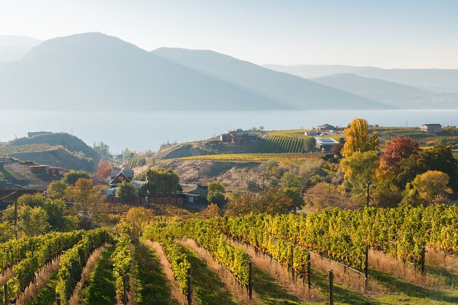 Vernon Private Wine & Boat Tour on Okanagan Lake - Returning to Vernon: Smooth End to the Day