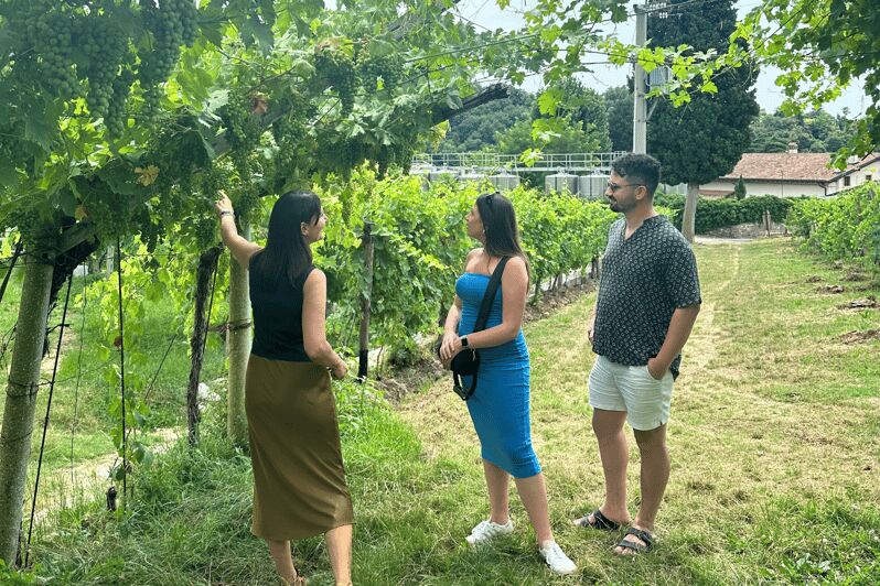 Verona: A family tasting in the heart of Valpolicella - Guided Tour of the Family Winery