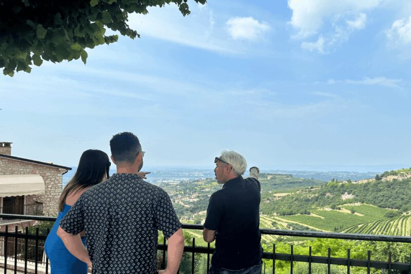 Verona: A family tasting in the heart of Valpolicella - Tasting the Five Wines of Valpolicella