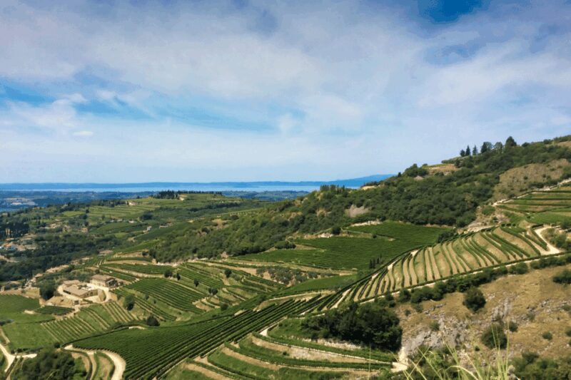 Verona: A family tasting in the heart of Valpolicella - The Drive Back to Verona