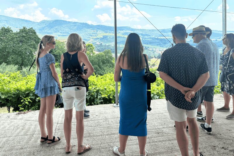 Verona: A family tasting in the heart of Valpolicella - How the Tour Stands Out