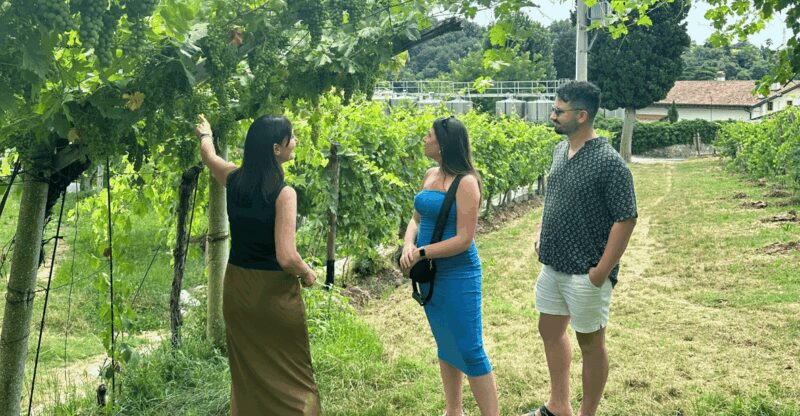 Verona: A family tasting in the heart of Valpolicella - Practical Details and Booking Flexibility