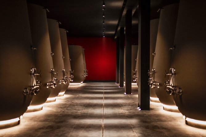 Verona area: Wine Tasting Experience in Valpolicella - Learning About Valpolicella’s Wine Varietals