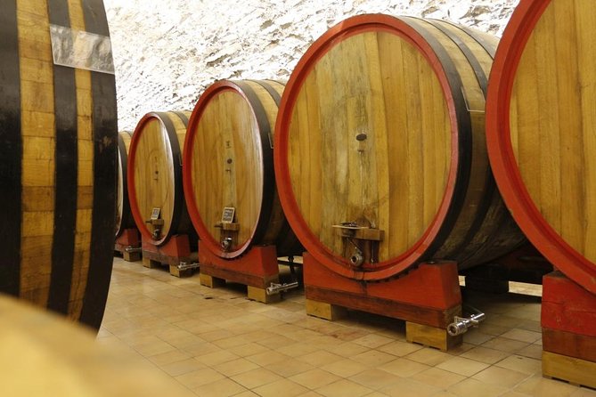 Verona art city, Valpolicella wine tasting full day private tour - Practical Details: Meeting Point, Transport, and Timing