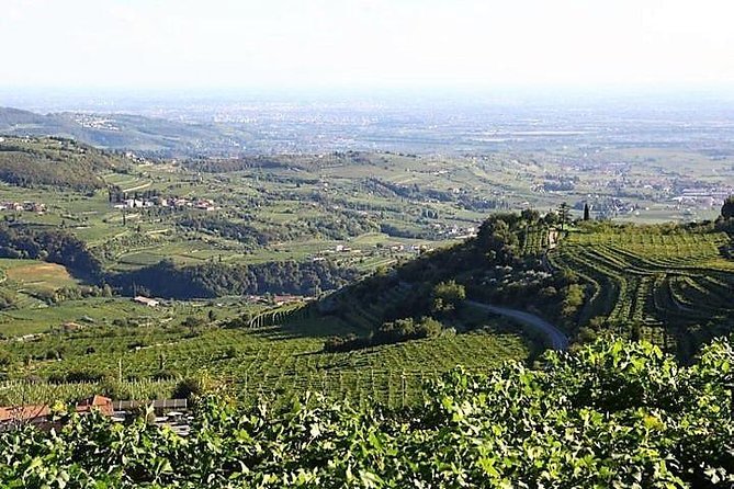 Verona art city, Valpolicella wine tasting full day private tour - Limitations and Considerations