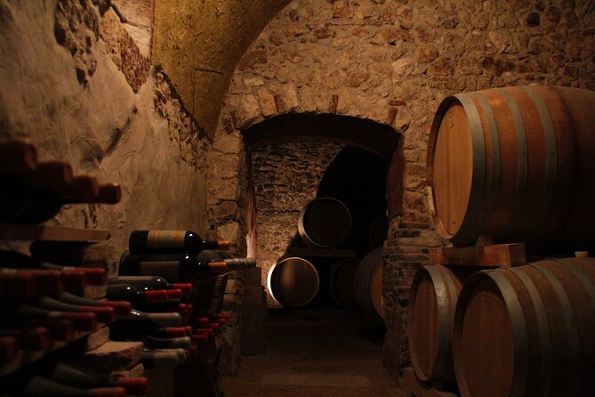 Verona - Cellar Tour and Tasting of NATURAL WINES - The Atmosphere and Personal Touches of Terre di Pietra