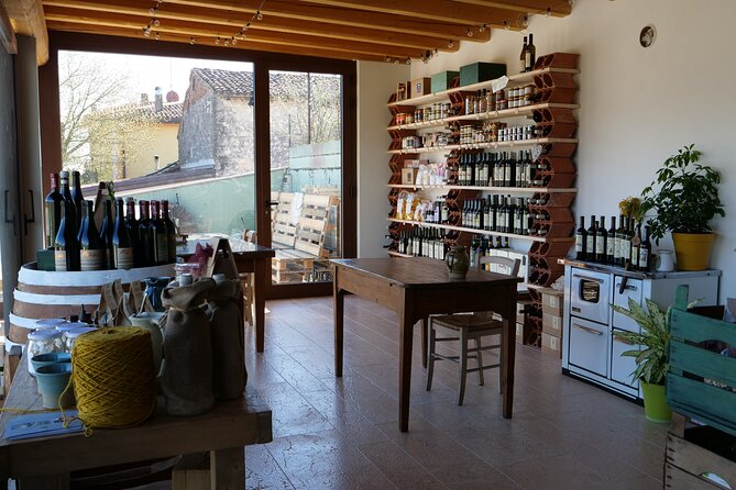 Verona - Cellar Tour and Tasting of NATURAL WINES - The Role of Environment and Biodiversity in Winemaking