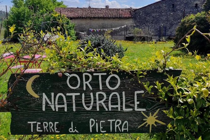 Verona - Cellar Tour and Tasting of NATURAL WINES - How This Tour Compares to Other Verona Experiences
