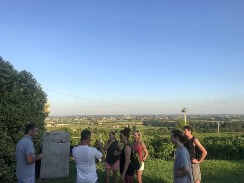 Verona: Custoza E-bike Tour - Logistics and Group Size for a Personalized Experience