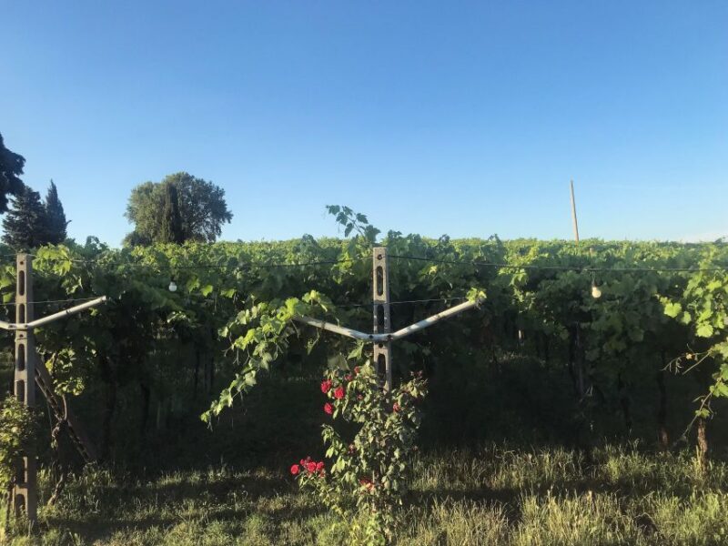 Verona: Custoza E-bike Tour - What to Bring and Practical Tips for the Tour