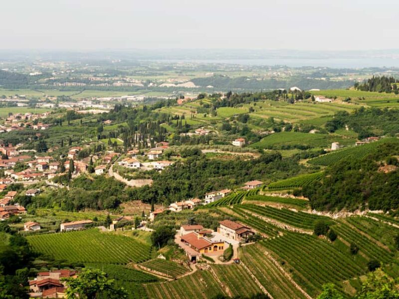 Verona: Valpolicella Wine Self-Guided E-Bike Tour & Tastings - The Benefits of a Self-Guided Approach