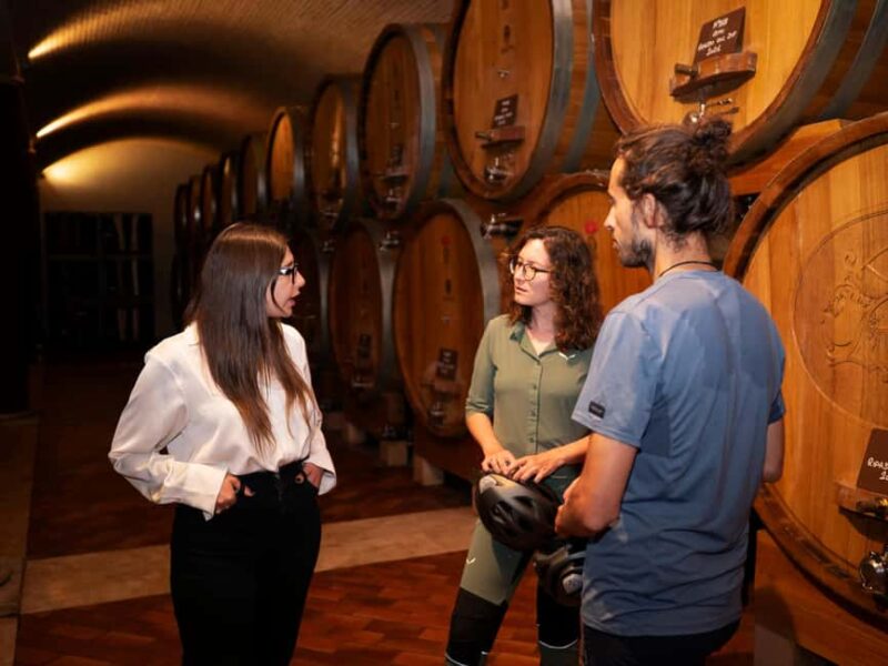 Verona: Valpolicella Wine Self-Guided E-Bike Tour & Tastings - Wine, Food, and Cultural Highlights at Farina