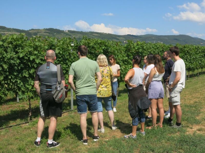Verona: Valpolicella Wine Self-Guided E-Bike Tour & Tastings - Why Choose This Tour Over Others
