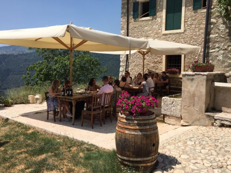 Verona: Vineyard and Winery Tour with Wine Tasting - Learning Traditional Wine-Making Methods