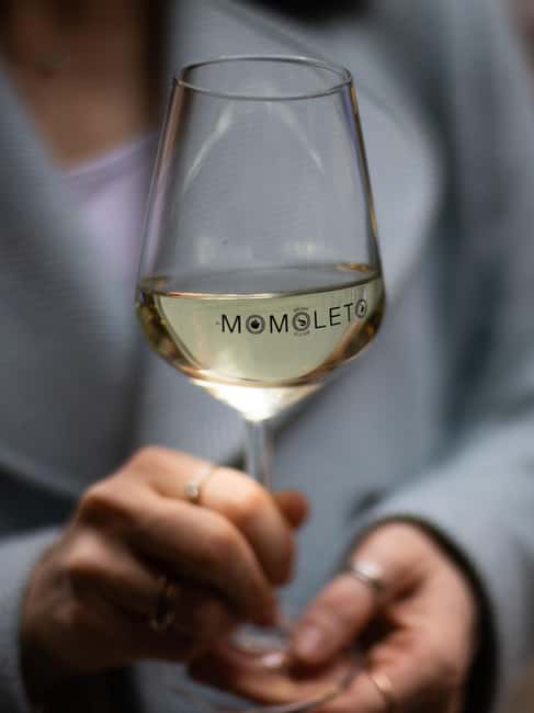 Verona: Wine and Aperitivo Walking Food Tour - Practical Details and Logistics of the Food Tour