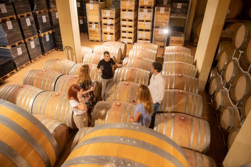 VERONA: WINE TASTING FOR THOSE WHO LOVE COMPARISONS - Key Points