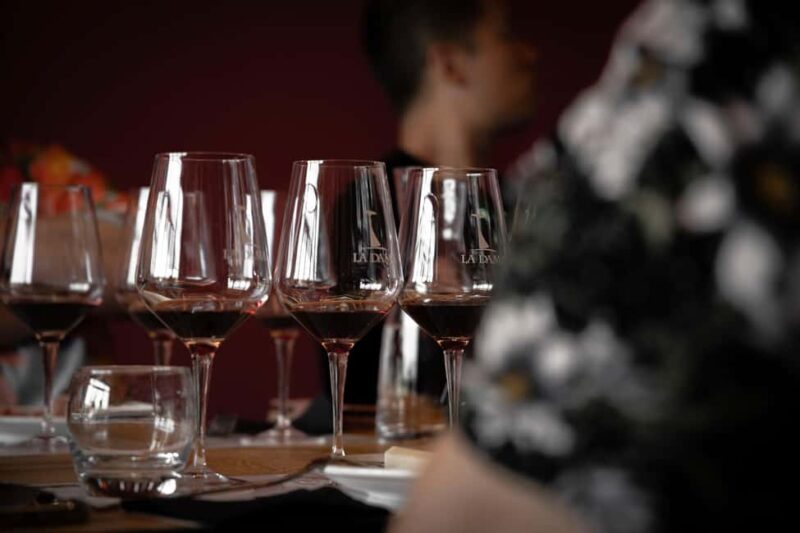 VERONA: WINE TASTING FOR THOSE WHO LOVE COMPARISONS - Starting in the Vineyards: Exploring Valpolicella Traditions