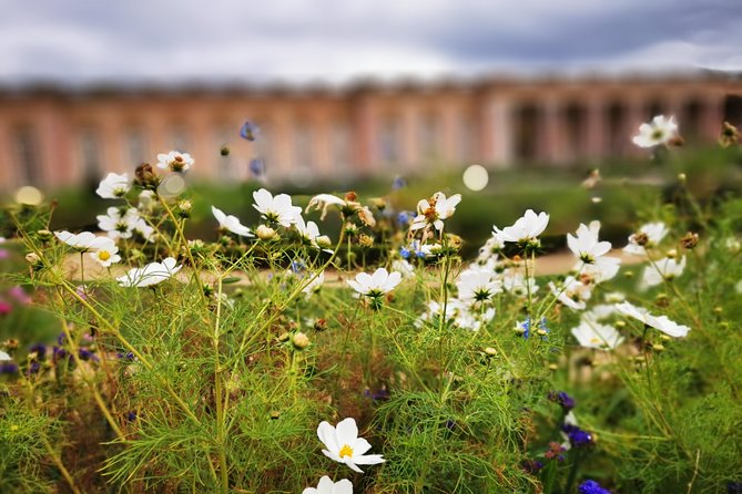 Versailles Full Day Private Guided Tour with Hotel Pickup - Visiting the Grand Trianon