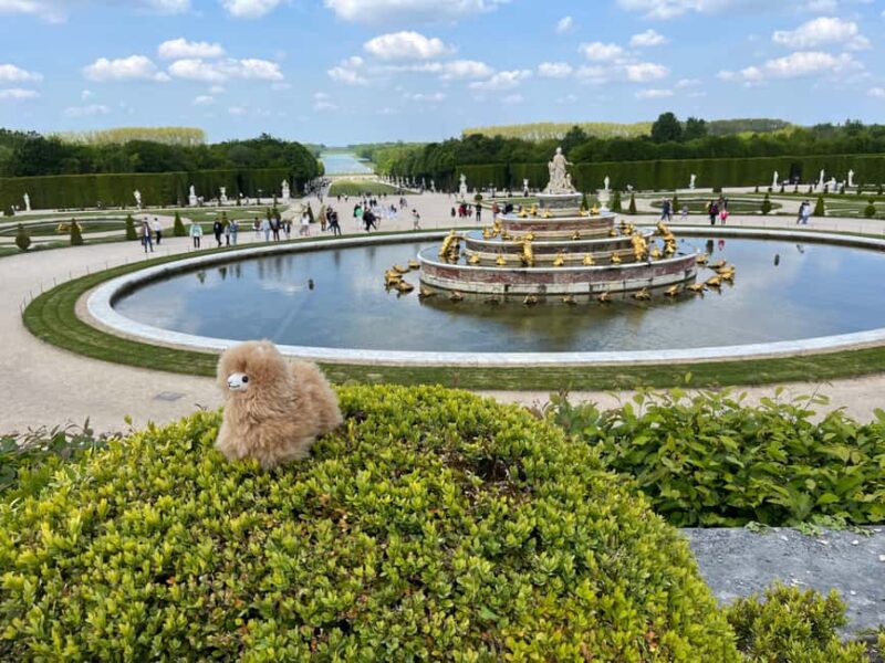 Versailles Half-day Private Tour by Luxury Car - Key Points