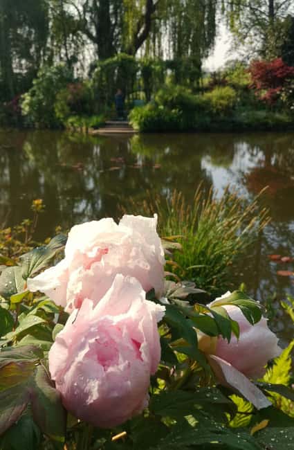 Versailles Palace and Giverny Private guided tour from Paris - Practicalities and Tour Logistics