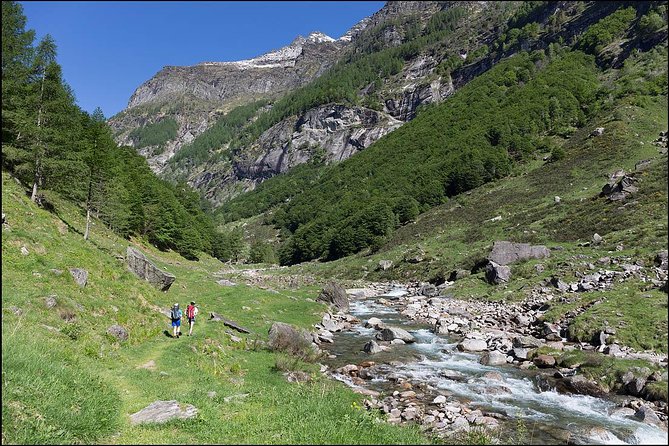 Verzasca valley, river and waterfall + Ascona private guided tour - Key Points