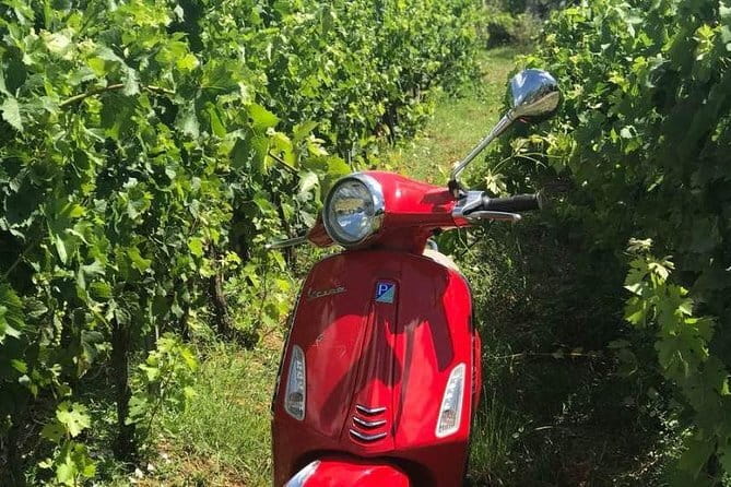 Vespa Motorcycle rental in Florence - Starting Point: Florence Station Rental on Via Ventisette Aprile