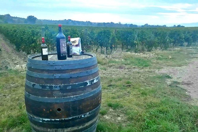 Vespa Tour in Chianti Small Group from Florence - Authentic Tuscan Lunch at a Local Farm and Winery