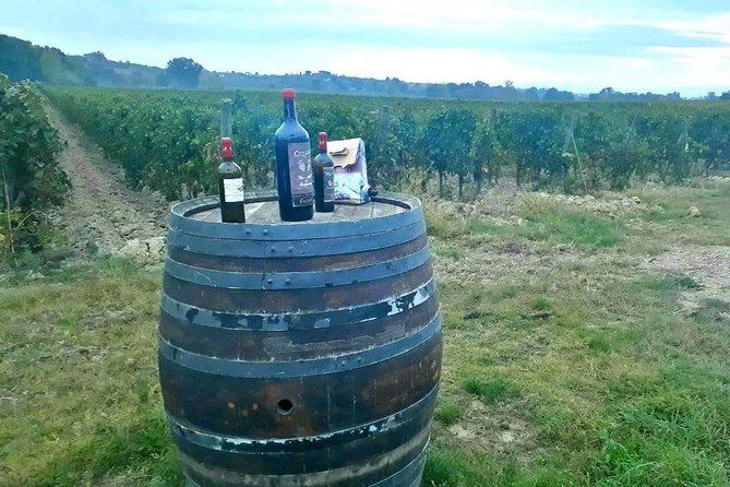 Vespa Tour with Lunch&Chianti Winery from Siena - Practicalities and Group Size